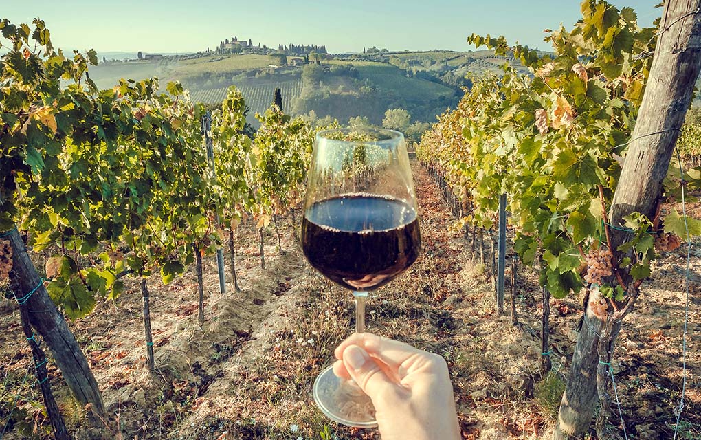 Viñedos del Valle de Querétaro